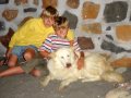 Vanilla has been adopted